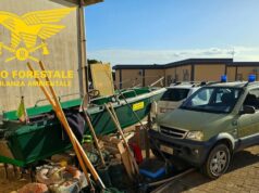 Santa Gilla, controlli contro la pesca illegale: multe per 2.300 euro