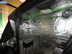 Blitz a Sarule, 5Kg di canapa, hashish e 40 piante di marijuana: 45enne arrestato