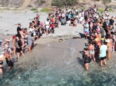 Porto Frailis, liberata in mare una Caretta caretta davanti a 70 bambini