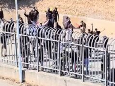 Campobasso-Torres, tensione tra ultras: possibili Daspo e denunce per le tifoserie