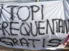 Topi e blatte nelle scuole di Cagliari, i docenti: “Agire prima, non dopo le proteste”