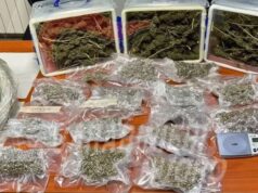 Tonara, tradito dal forte odore di marijuana proveniente da casa sua: 56enne arrestato