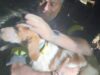 Nuoro, dopo diverse ore di soccorsi recuperato un cane intrappolato a 6 metri di profondità